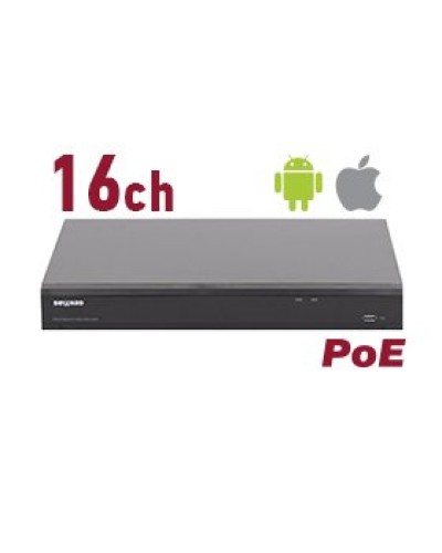 RK2216-P. Видеорегистратор IP 16-канальный. Beward в Хасавюрте
