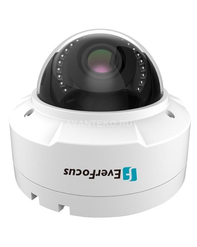 EHN-1250. Видеокамера IP купольная. EverFocus в Хасавюрте
