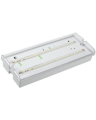 Светильник аварийный ДПА 5042-3 3ч IP65 LIGHTING (LDPA0-5042-3-65-K01). Светильник аварийный универсальный. IEK в Хасавюрте