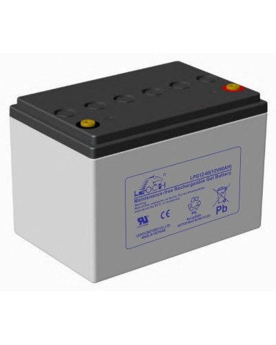 LEOCH LPG 12-60. Аккумулятор герметичный свинцово-кислотный. LEOCH в Хасавюрте