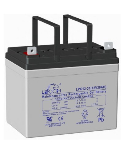 LEOCH LPG 12-31. Аккумулятор герметичный свинцово-кислотный. LEOCH в Хасавюрте