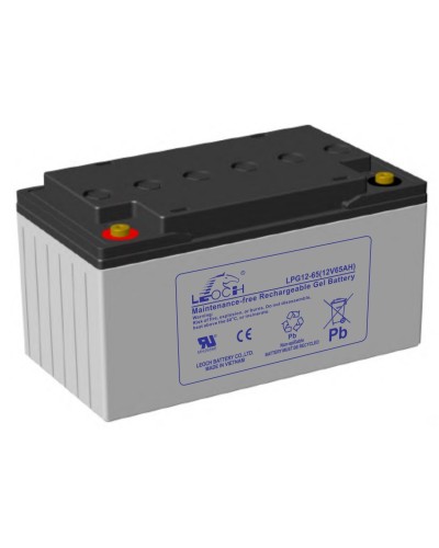LEOCH LPG 12-65. Аккумулятор герметичный свинцово-кислотный. LEOCH в Хасавюрте
