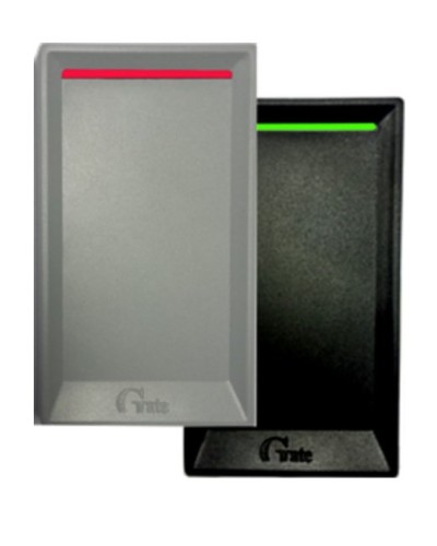 Gate-Reader-EH. Считыватель. Равелин в Хасавюрте