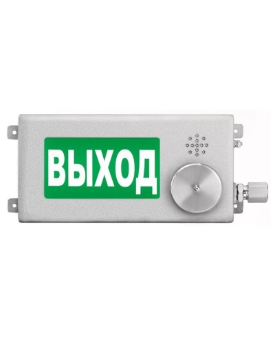 ТСВ-Exm-Н-Прометей-МИНИ 220В ВЫХОД. Оповещатель охранно-пожарный световой взрывозащищенный (табло). Спектрон НПО в Хасавюрте